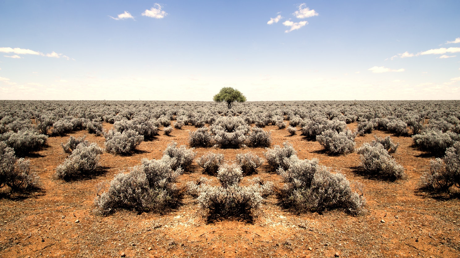 Barren landscape | Claiming Your Driving